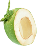 Hydro Coco Kelapa Asli