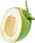 Hydro Coco Kelapa Asli